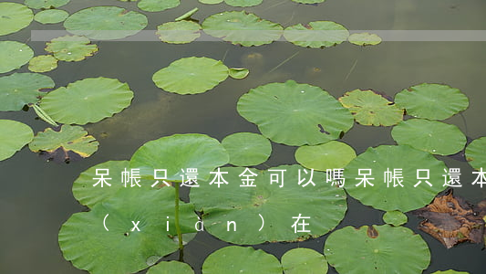 呆帳只還本金可以嗎 呆帳只還本金可以嗎現(xiàn)在