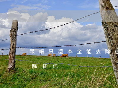 呆帳只還本金能去除征信(呆帳只還本金能去除征信)