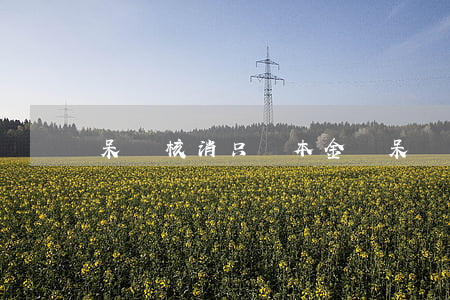 呆帳核消只還本金嗎(呆賬核銷還款)