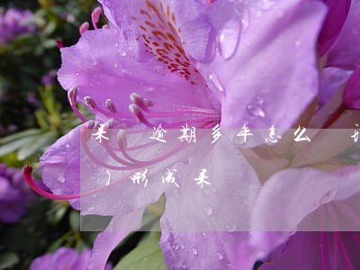 呆帳逾期多年怎么處理(逾期多久會(huì)形成呆賬)