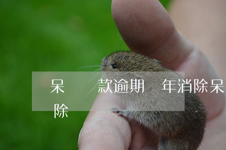 呆滯貸款逾期幾年消除(呆滯貸款逾期幾年消除)