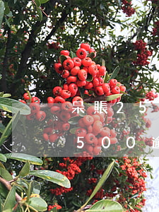 呆賬2500逾期3年利息是多少-呆賬2500逾期3年利息是多少錢