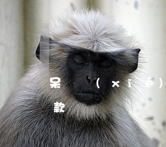 呆賬協(xié)商還款又逾期(呆賬還能還款嗎)