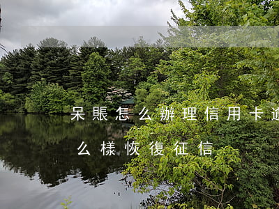 呆賬怎么辦理信用卡逾期(信用卡逾期呆賬怎么樣恢復征信)
