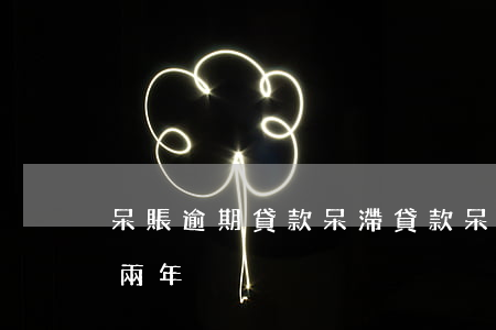 呆賬逾期貸款呆滯貸款(呆滯貸款指的是逾期兩年)
