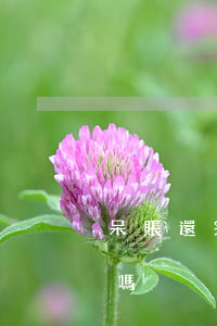 呆賬還完后怎么處理 呆賬還款后,能馬上消除嗎
