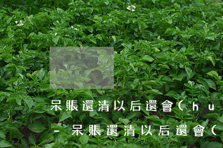 呆賬還清以后還會(huì)有逾期記錄嗎-呆賬還清以后還會(huì)有逾期記錄嗎知乎