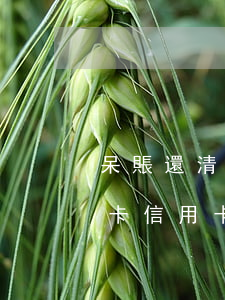 呆賬還清后多久可以申請(qǐng)信用卡（信用卡逾期多久可以成為呆賬）