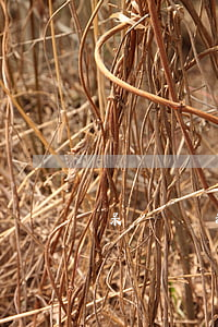 呆賬還清后會自動轉(zhuǎn)為逾期記錄嗎-呆賬還清后會自動轉(zhuǎn)為逾期記錄嗎怎么辦