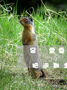 呆賬需要把逾期金額也處理掉嗎-呆賬需要把逾期金額也處理掉嗎怎么辦