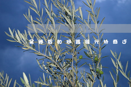 呆账后如何跟银行协商还款