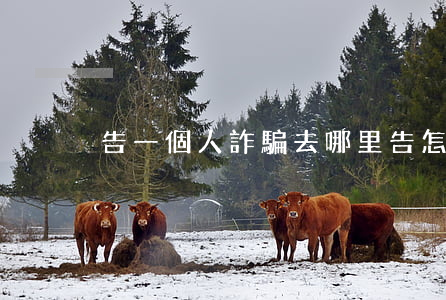 告一個人詐騙去哪里告(怎么告一個人詐騙)