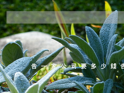 告一家公司要多少錢(告一家公司要多少錢)