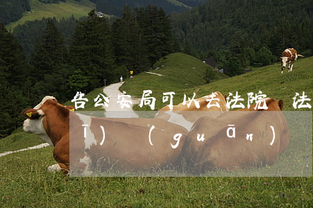 告公安局可以去法院嗎(法院開庭公安機(jī)關(guān)會去嗎)