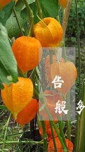 告強拆律師費用是多少(強拆打官司律師費一般多少)