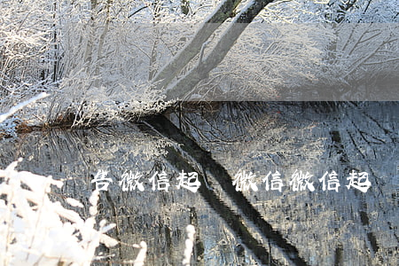 告微信起訴微信(微信起訴有用嗎)