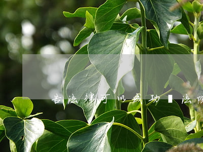 告法律可以成功嗎(法院可以告嗎)