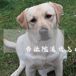 告法院追债怎么做(司法程序追债)