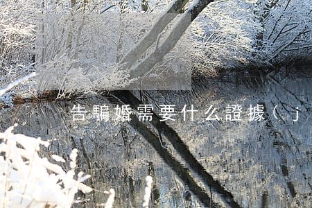 告騙婚需要什么證據(jù)(如何起訴騙婚)