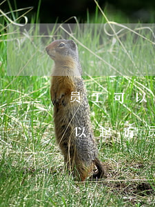 员工可以继续提起诉讼吗(有什么事情公司可以起诉员工的)