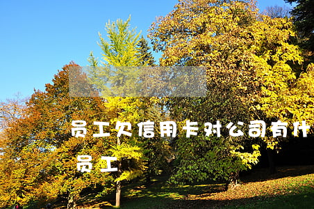 员工欠信用卡对公司有什么影响（欠信用卡的员工）