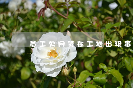 员工欠网贷在工地出现事故身亡-
