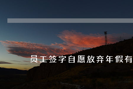 员工签字自愿放弃年假有效吗？