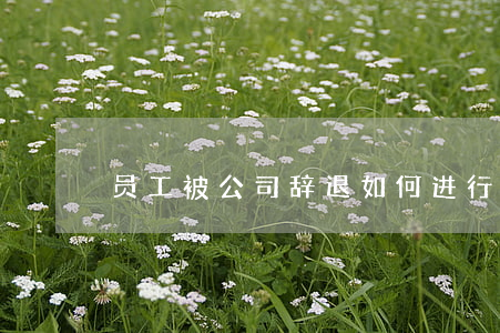 员工被公司辞退，如何进行法律维权