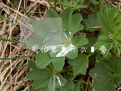 周佑君為什么離婚