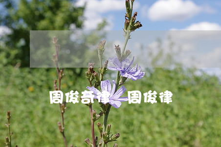 周俊奇律師(周俊 律師)