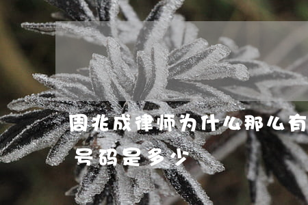 周兆成律师为什么那么有名(周兆成律师联系号码是多少)
