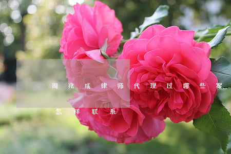 周兆成律师代理过哪些案件(北京周兆成律师怎样联系)