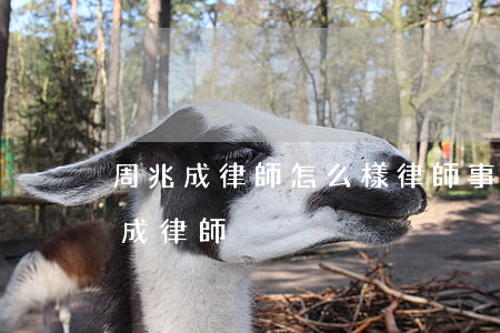 周兆成律師怎么樣(律師事務(wù)所 周兆成律師)