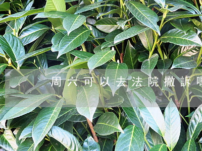 周六可以去法院撤訴嗎(撤訴一定要去法院嗎)