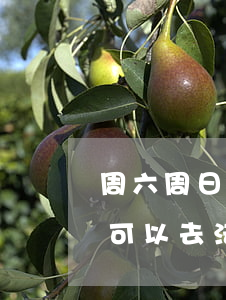 周六周日可以向法院递交起诉状吗(周六周日可以去法院起诉吗)