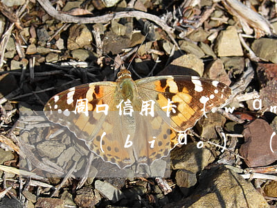 周口信用卡網(wǎng)貸逾期起訴立案標(biāo)準(zhǔn)-周口信用卡網(wǎng)貸逾期起訴立案標(biāo)準(zhǔn)是多少