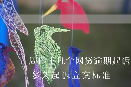 周口十几个网贷逾期起诉立案标准(网贷逾期多久起诉立案标准)