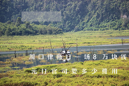 周口律师打一场8万块钱的官司多少钱(八万元打官司要多少费用)