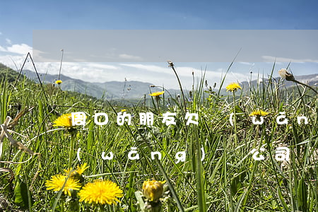 周口的朋友欠網(wǎng)貸多少(周口網(wǎng)貸公司)