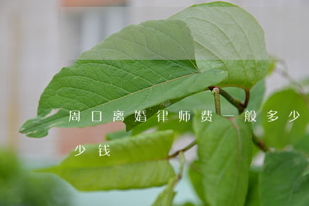 周口离婚律师费一般多少钱(离婚案律师费多少钱)