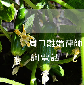 周口離婚律師費一般多少錢(周口離婚律師咨詢電話)
