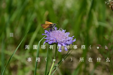 周圍哪有律師事務(wù)所(附近哪有律師事務(wù)所在什么地方)