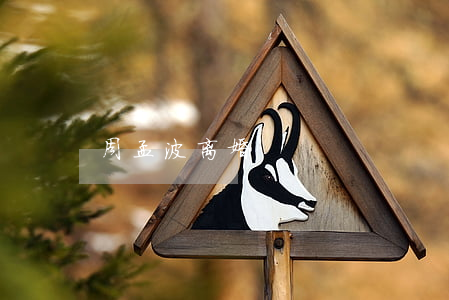 周孟波离婚