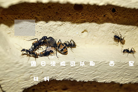 周日法院可以取東西嗎(星期六可以去法院拿材料嗎)