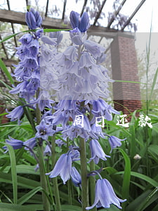 周日还款建行快贷额度多久恢复-