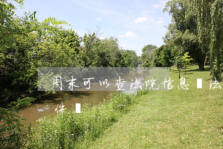 周末可以查法院信息嗎(法院周六可以查詢案件嗎)