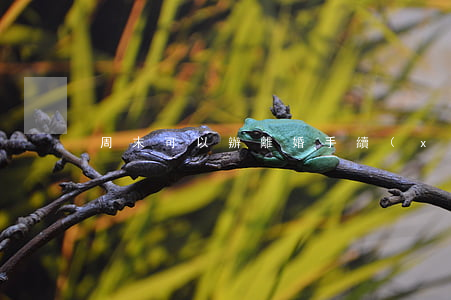 周末可以辦離婚手續(xù)嗎
