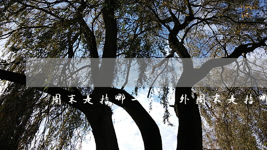 周末是指哪一天(國外周末是指哪一天)