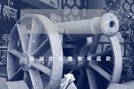 周潤花逾期如何還款