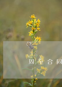 周至合同糾紛律師要多少錢